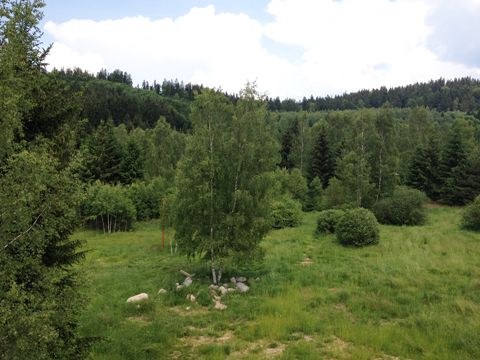 Foto 40